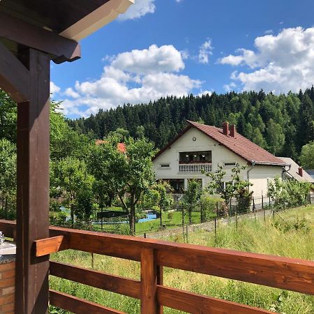 Pensiunea Exedra Hotel Borşa Buitenkant foto