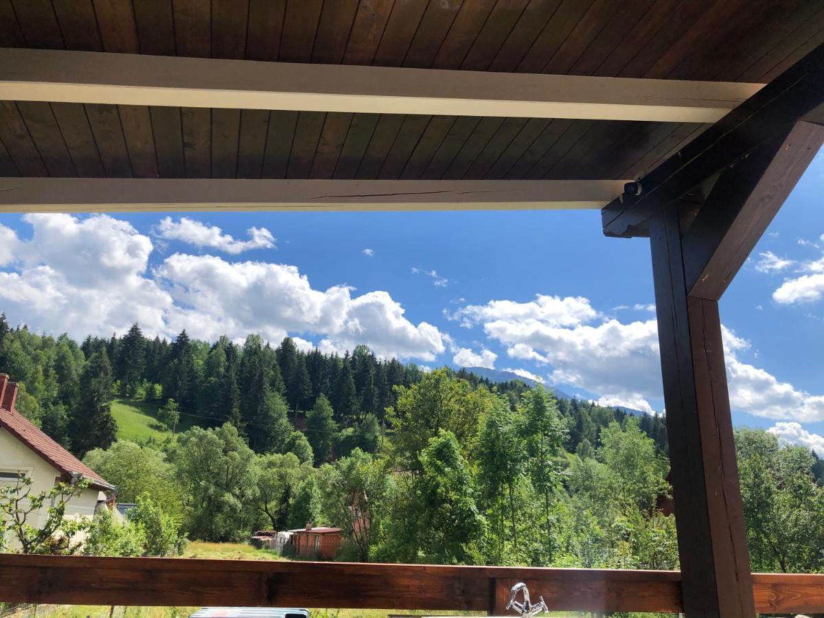 Pensiunea Exedra Hotel Borşa Buitenkant foto