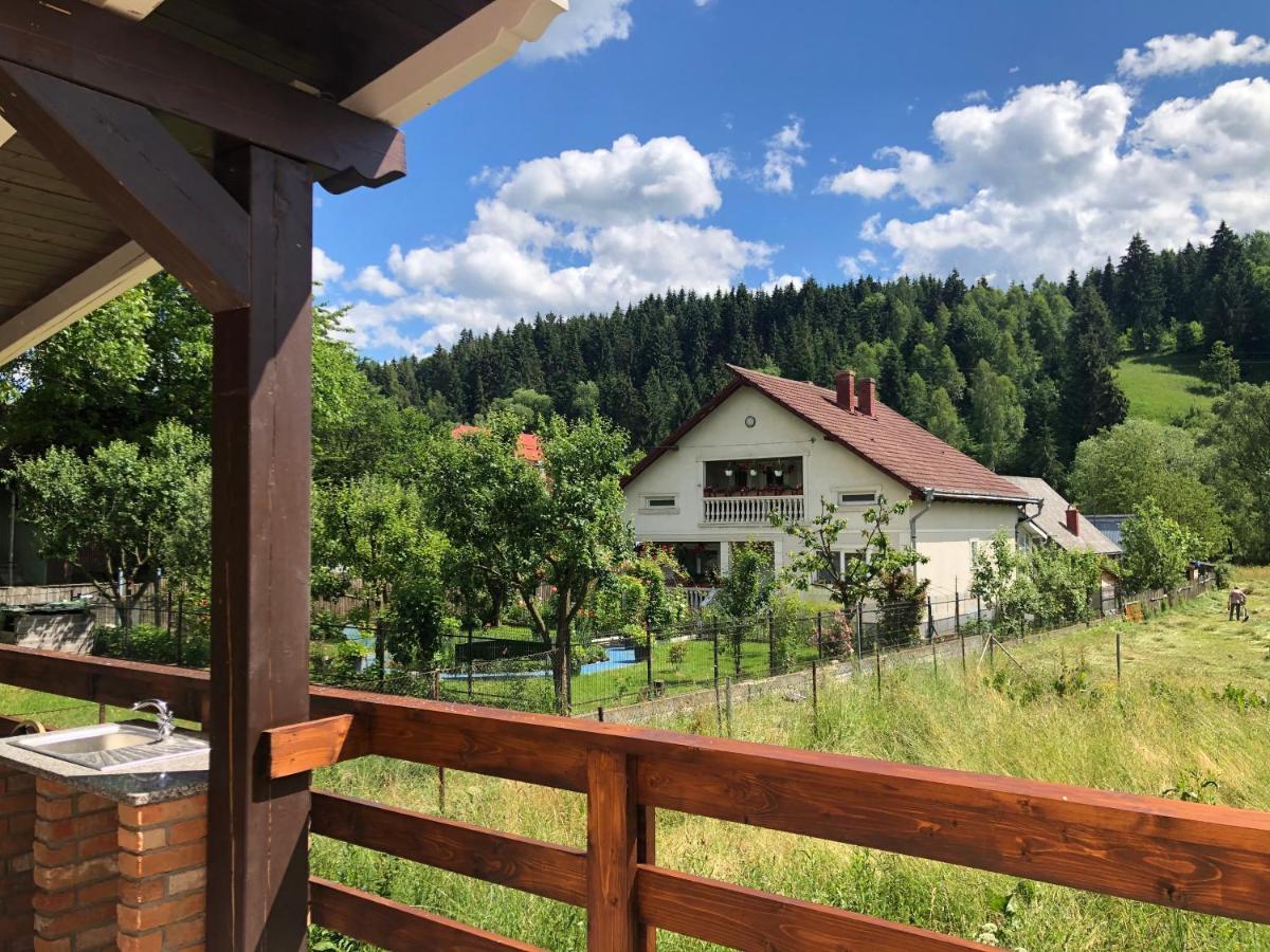Pensiunea Exedra Hotel Borşa Buitenkant foto