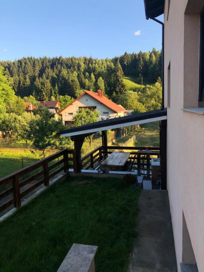 Pensiunea Exedra Hotel Borşa Buitenkant foto
