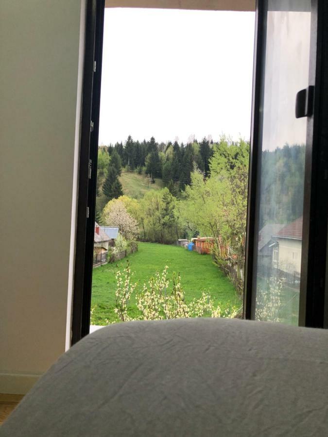 Pensiunea Exedra Hotel Borşa Buitenkant foto